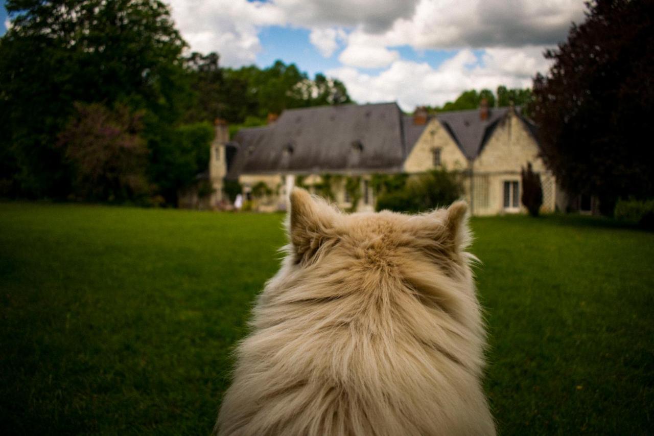 Bed & Breakfast - La Closerie De La Fuye Ballan-Miré Dış mekan fotoğraf